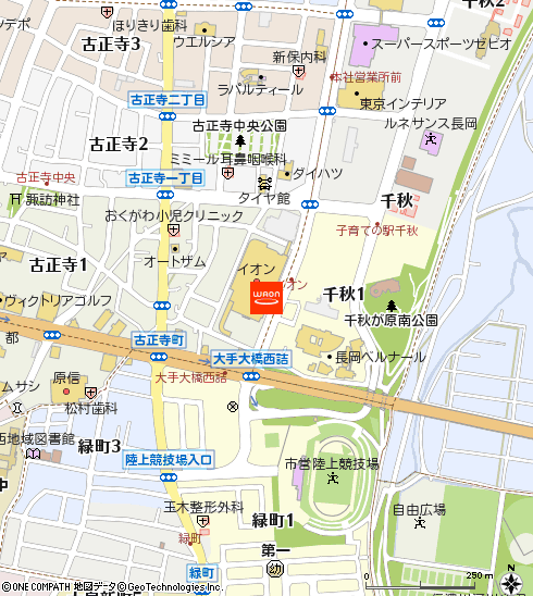 イオン長岡店付近の地図